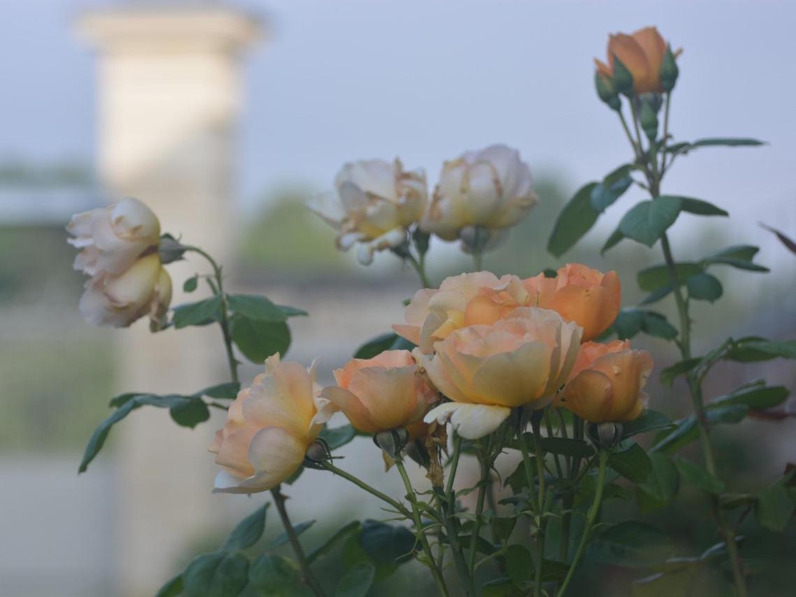 Willa La Penesais Beaumont-en-Véron Zewnętrze zdjęcie